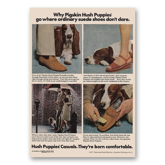 1977 Hush Puppies Pigskin Go Where Ordinary Suede Shoes Don’t Dare Vintage Magazine Print Ad