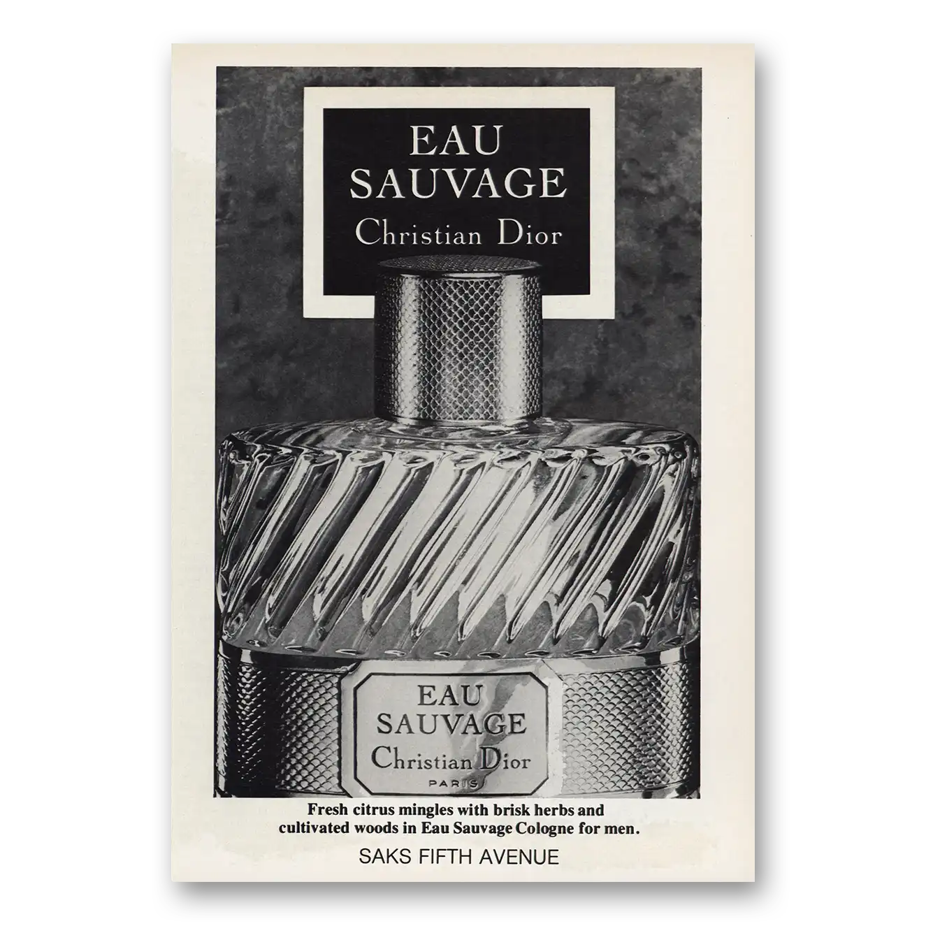 1980 Christian Dior Eau Sauvage Fresh Citrus Mingles Vintage Magazine Print Ad