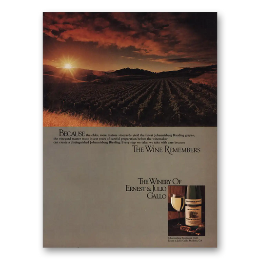 1980 Ernest & Julio Gallo Because the Older More Mature Vineyards Vintage Magazine Print Ad