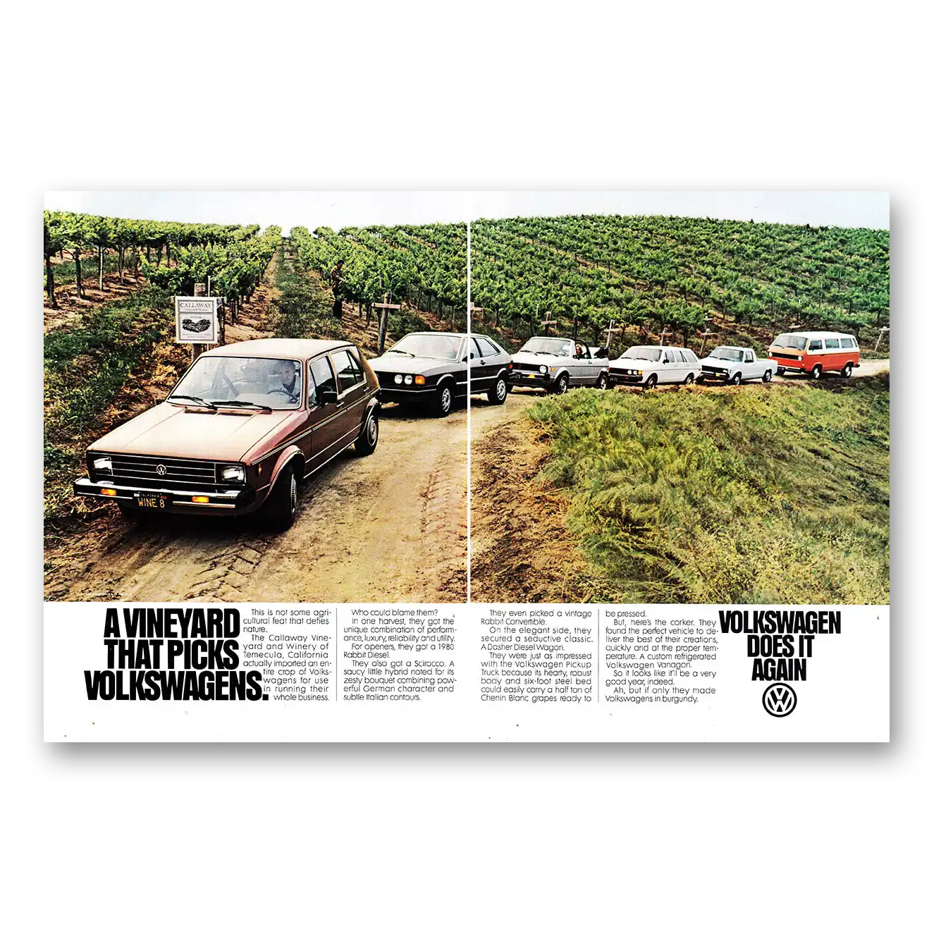 1980 Volkswagen Vineyard That Picks Volkswagens Vintage Magazine Print Ad