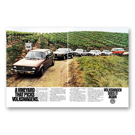 1980 Volkswagen Vineyard That Picks Volkswagens Vintage Magazine Print Ad