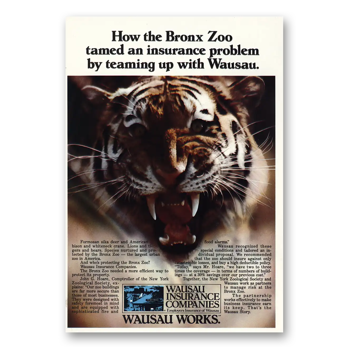 1980 Wausau Insurance Bronx Zoo Tiger Vintage Magazine Print Ad