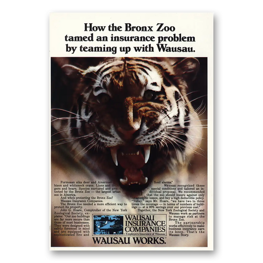 1980 Wausau Insurance Bronx Zoo Tiger Vintage Magazine Print Ad