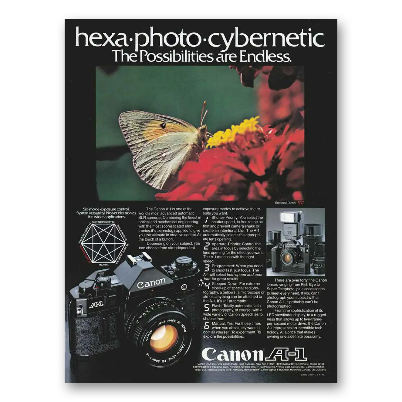 1981 Canon Camera Possibilities are Endless Vintage Magazine Print Ad