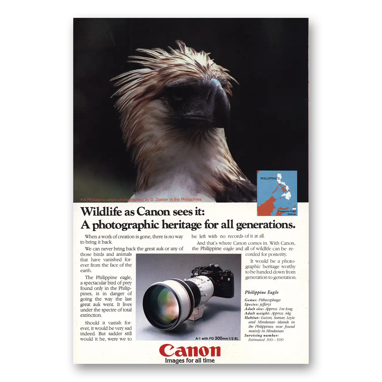 1981 Canon Camera Philippine Eagle Vintage Magazine Print Ad