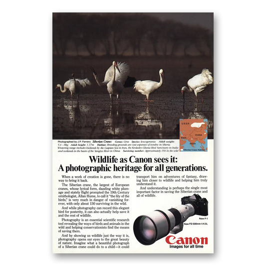 1981 Canon Camera Siberian Crane Vintage Magazine Print Ad