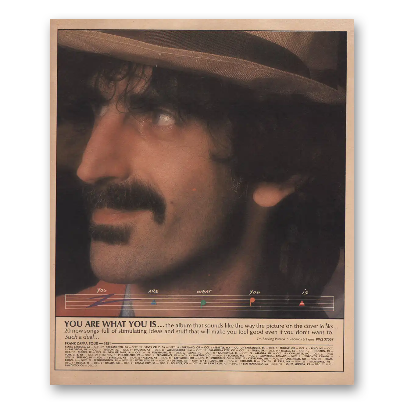 1981 Frank Zappa Promo You Are What You Is Vintage Magazine Print Ad