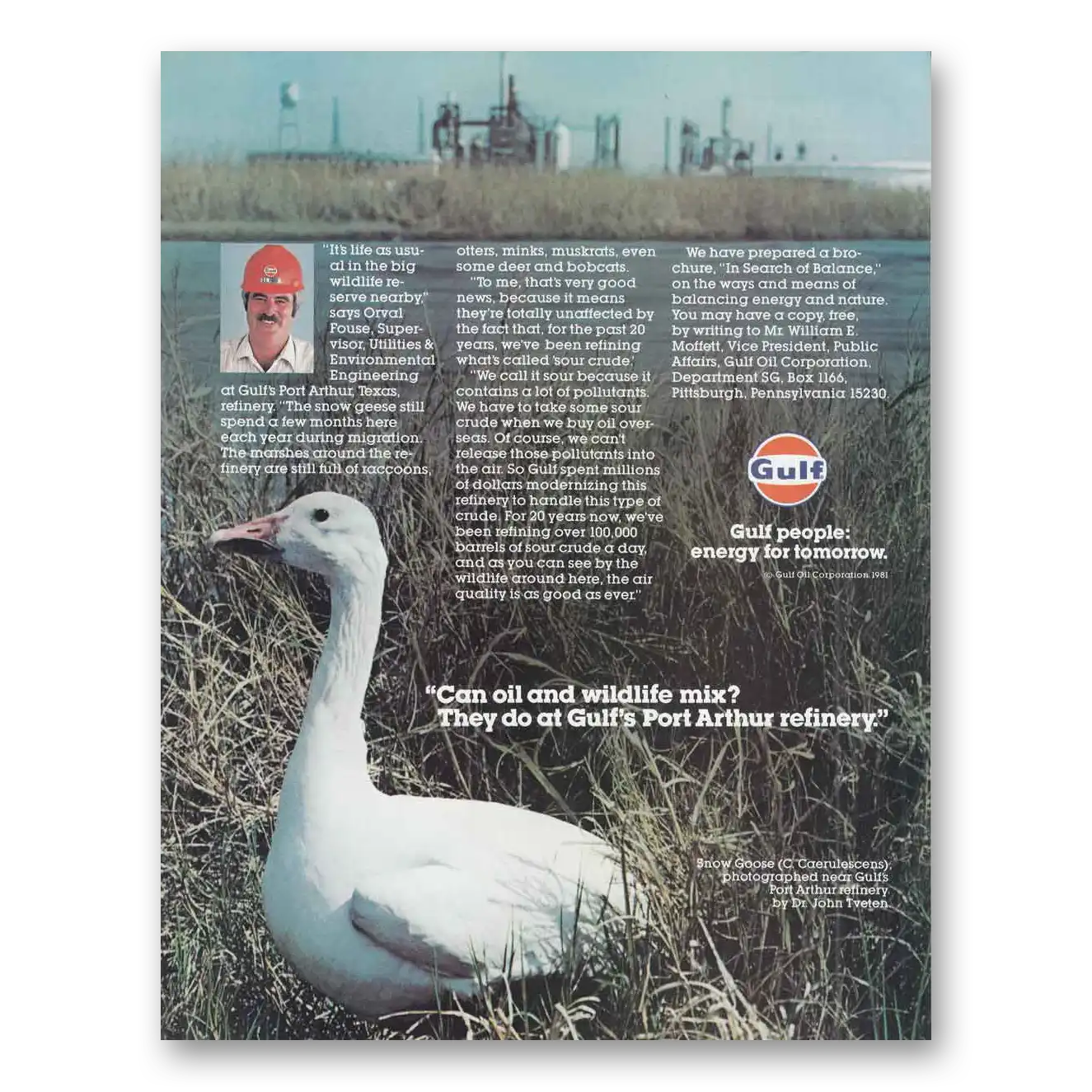 1981 Gulf Oil Can Oil and Wildlife Mix Vintage Magazine Print Ad