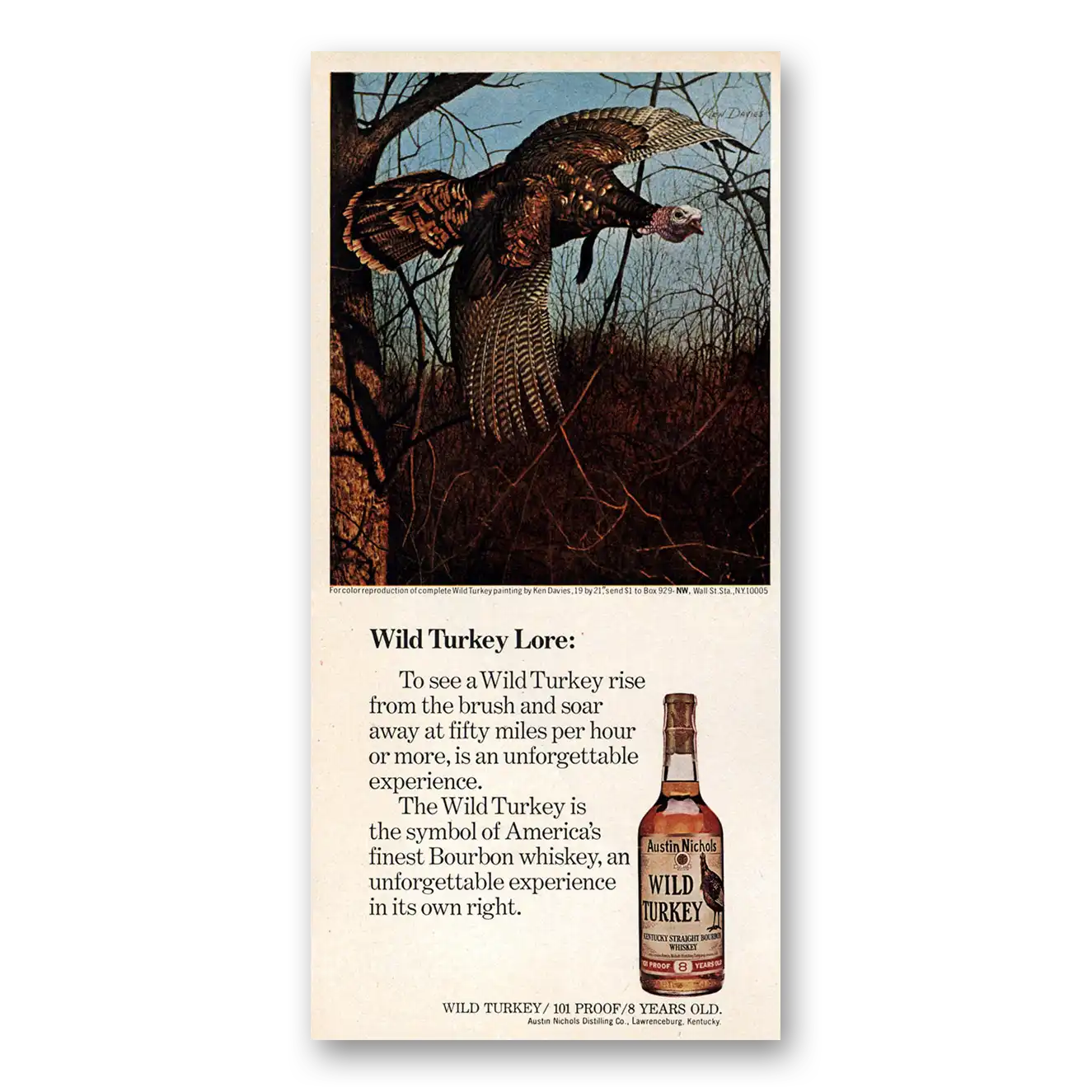 1981 Wild Turkey Bourbon Whiskey Unforgettable Experience Vintage Magazine Print Ad