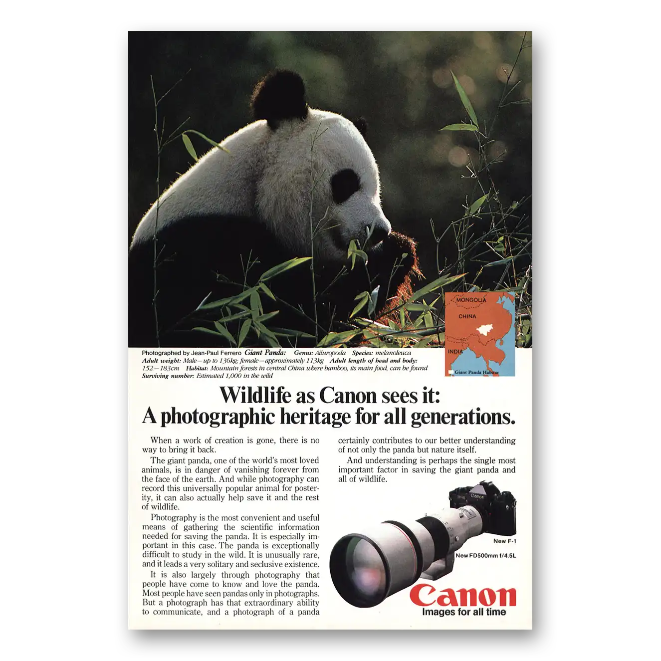 1982 Canon Camera Giant Panda Vintage Magazine Print Ad