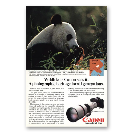 1982 Canon Camera Giant Panda Vintage Magazine Print Ad