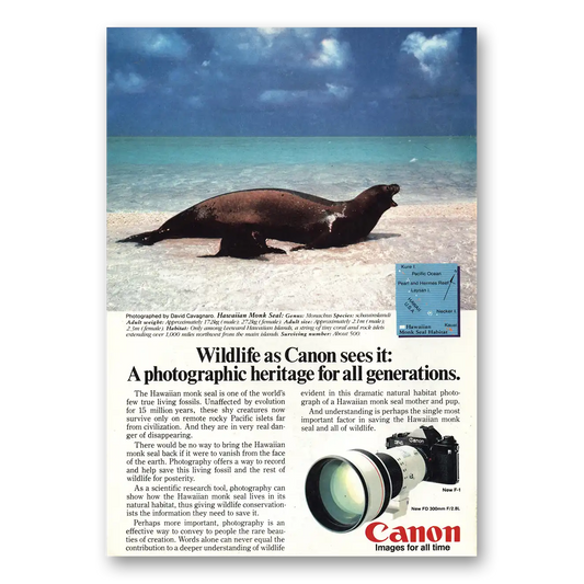 1982 Canon Camera Hawaiian Monk Seal Vintage Magazine Print Ad