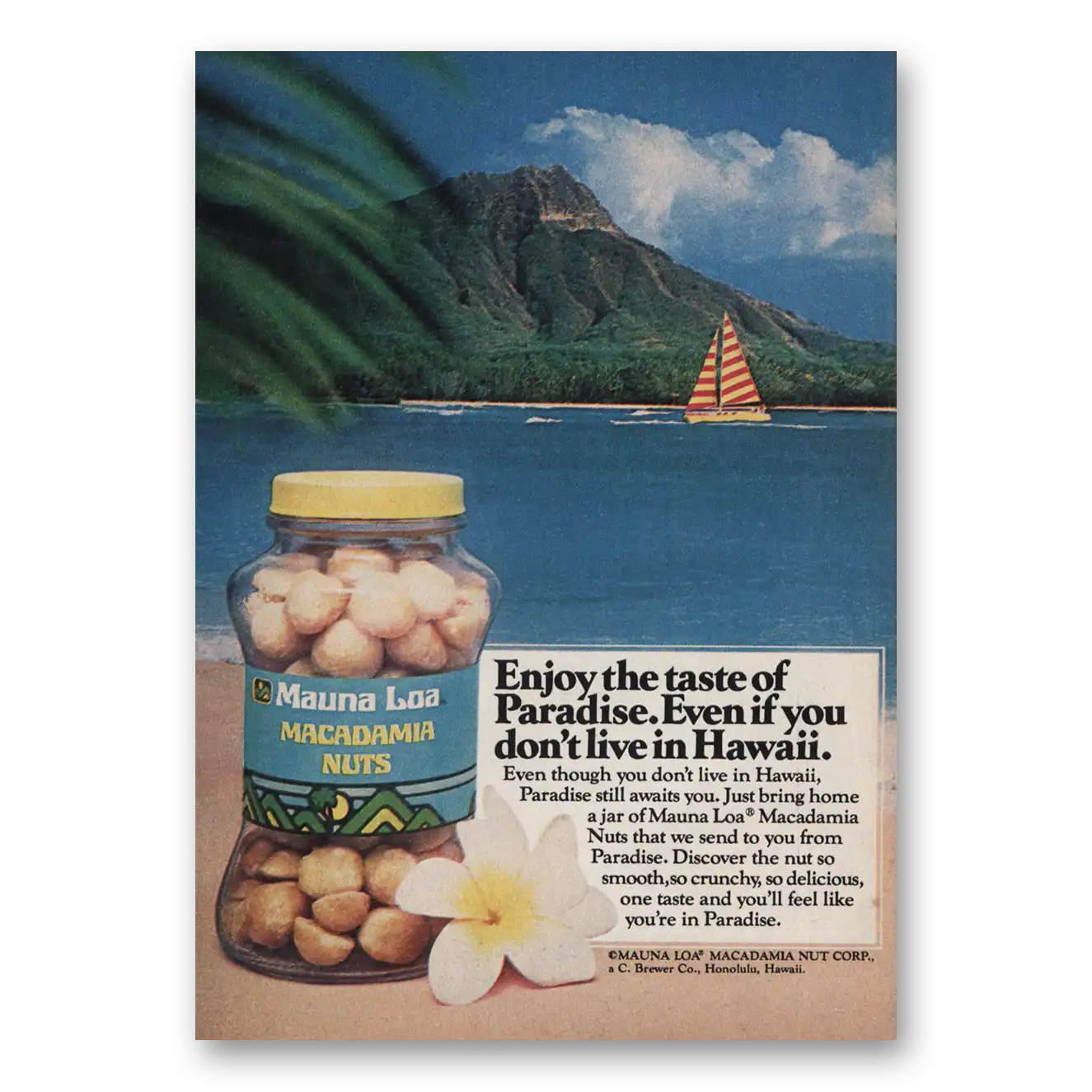 1982 Mauna Loa Macadamia Nuts Taste of Paradise Vintage Magazine Print Ad