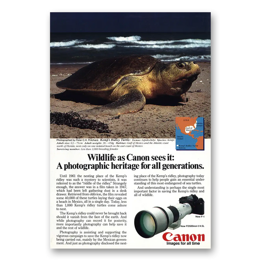 1983 Canon Camera Kemps Ridley Turtle Vintage Magazine Print Ad