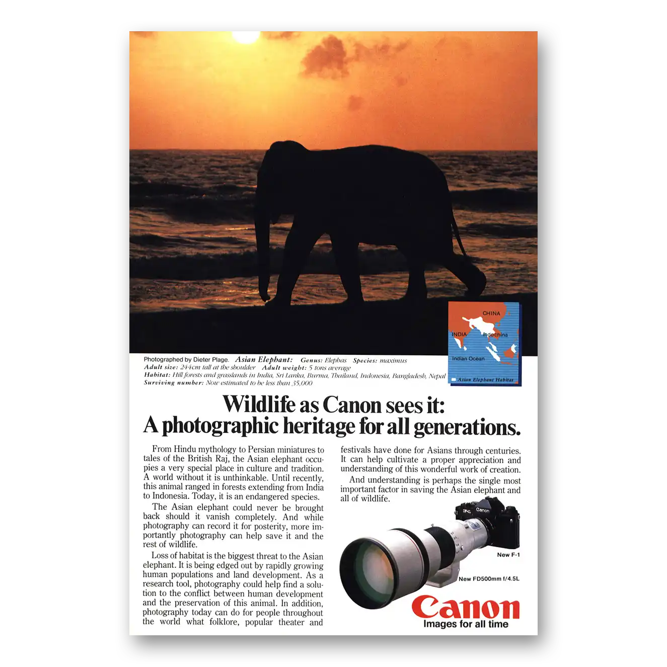 1983 Canon Camera Asian Elephant Vintage Magazine Print Ad