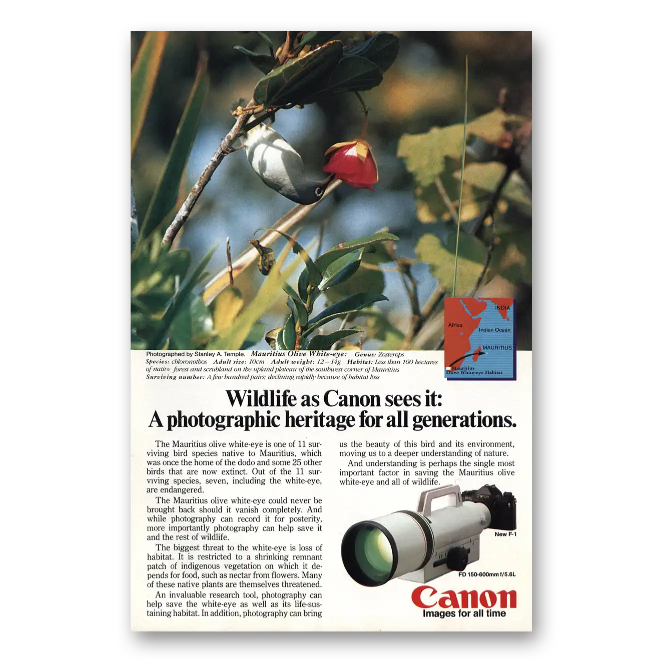 1983 Canon Camera Mauritius Olive White Eye Vintage Magazine Print Ad