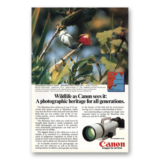 1983 Canon Camera Mauritius Olive White Eye Vintage Magazine Print Ad