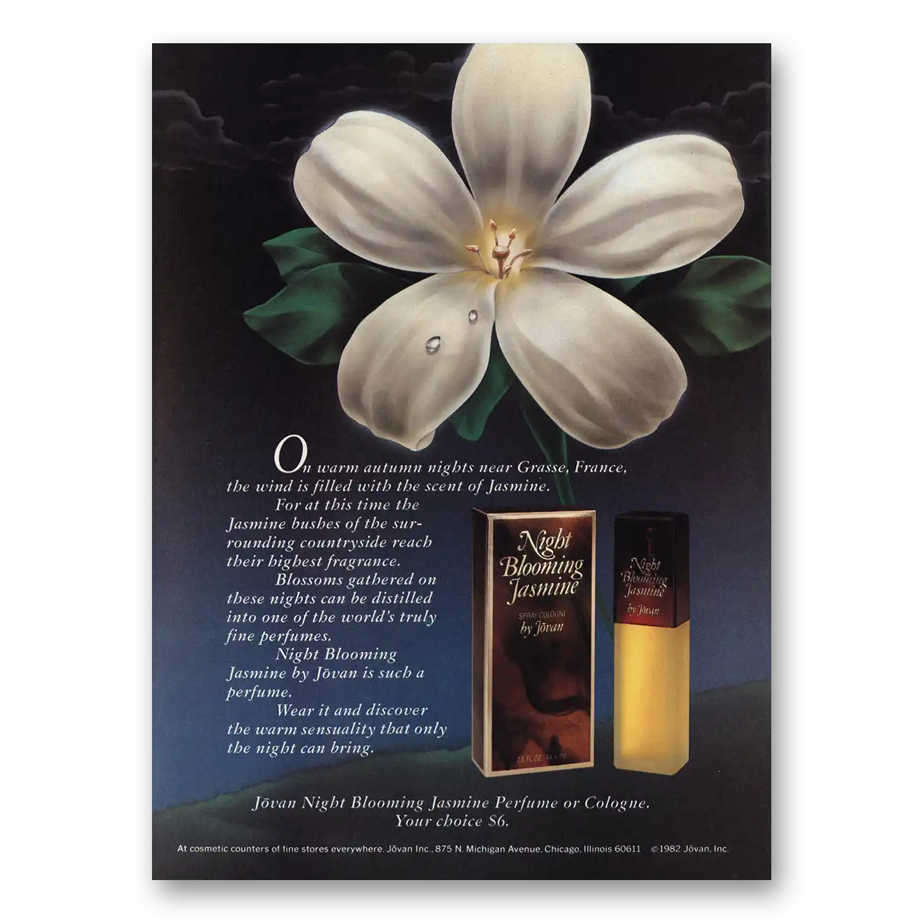 1983 Night Blooming Jasmine Perfume On Warm Autumn Nights Vintage Magazine Print Ad