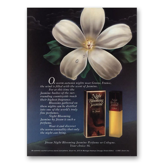 1983 Night Blooming Jasmine Perfume On Warm Autumn Nights Vintage Magazine Print Ad