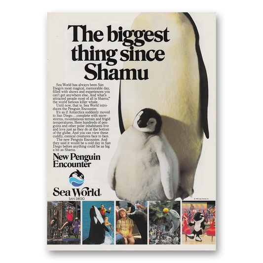 1983 Sea World Biggest Thing Since Shamu Vintage Magazine Print Ad