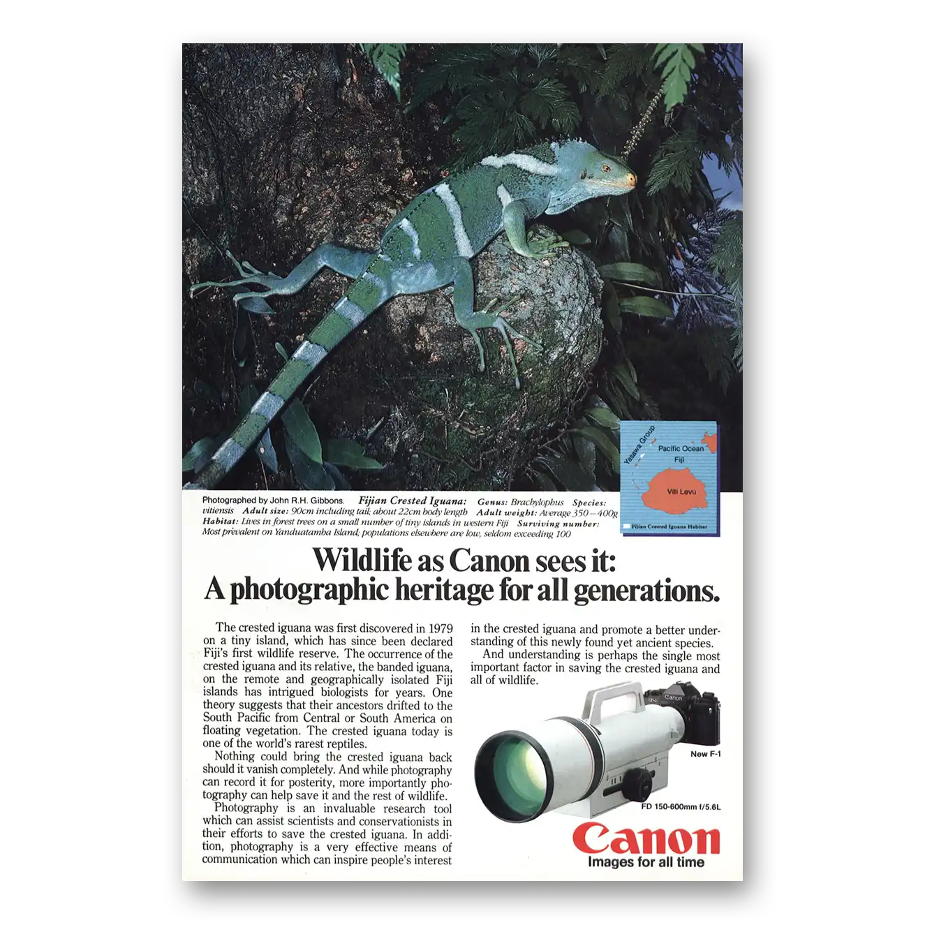 1984 Canon Camera Fijian Crested Iguana Vintage Magazine Print Ad