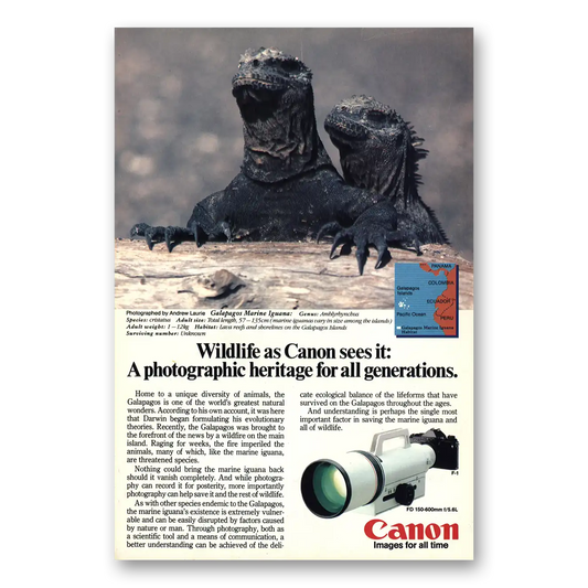 1985 Canon Camera Galapagos Marine Iguana Vintage Magazine Print Ad