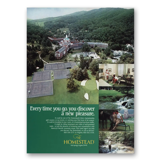 1985 Homestead Everytime You Go You Discover a New Pleasure Vintage Magazine Print Ad