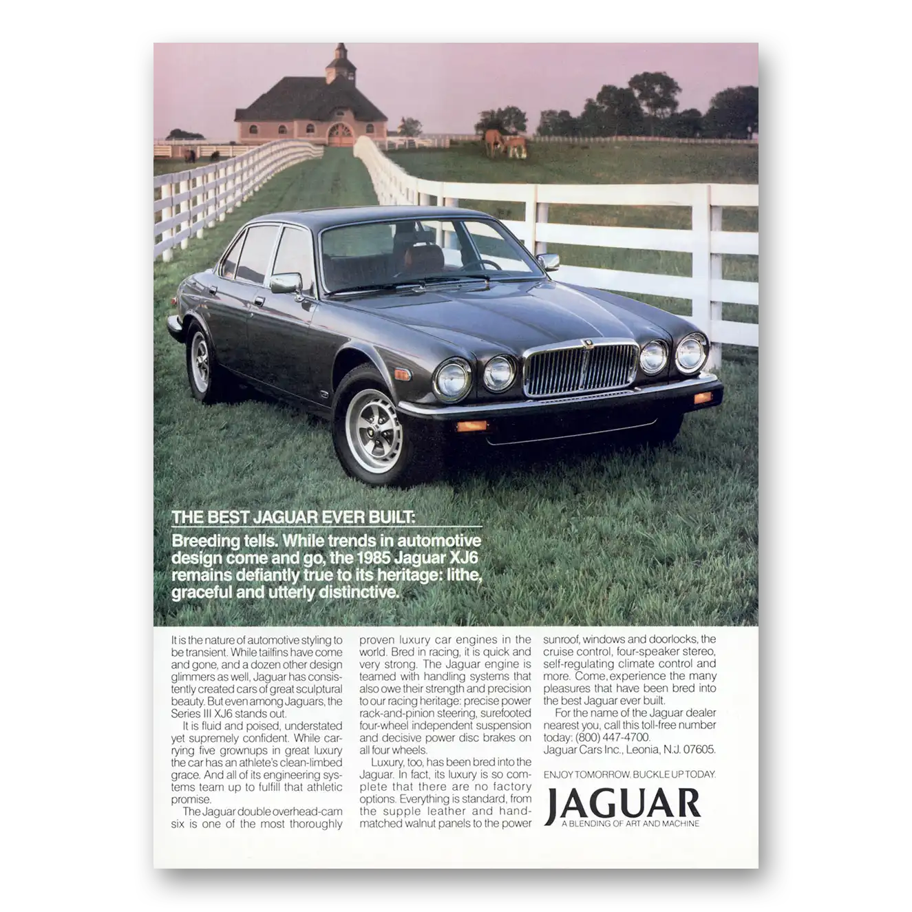 1985 Jaguar XJ6 Breeding Tells Vintage Magazine Print Ad