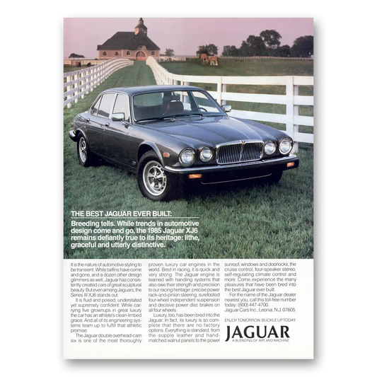 1985 Jaguar XJ6 Breeding Tells Vintage Magazine Print Ad