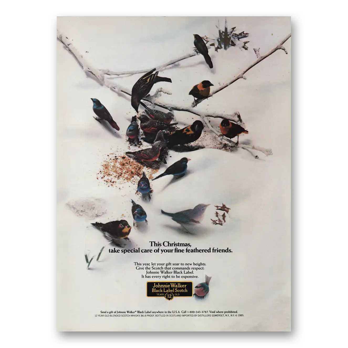 1985 Johnnie Walker Black Label Christmas Fine Feathered Friends Vintage Magazine Print Ad