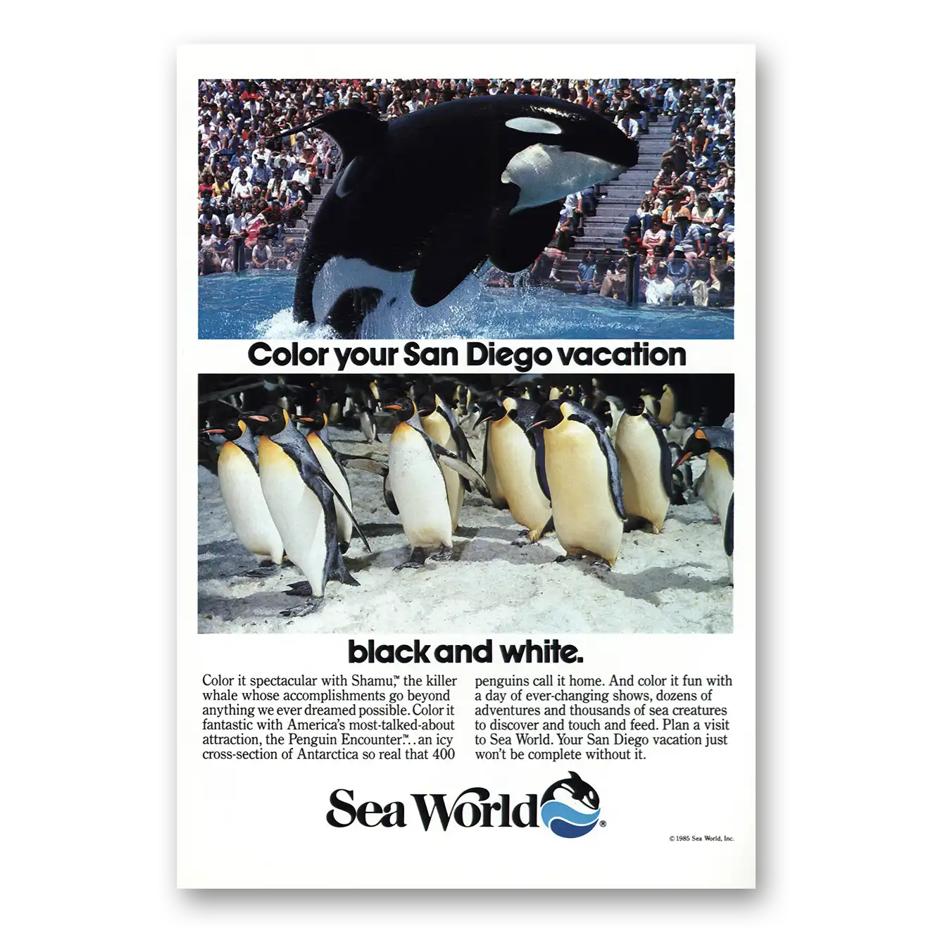 1985 Sea World Color Your San Diego Vacation Vintage Magazine Print Ad