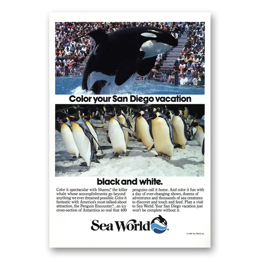 1985 Sea World Color Your San Diego Vacation Vintage Magazine Print Ad