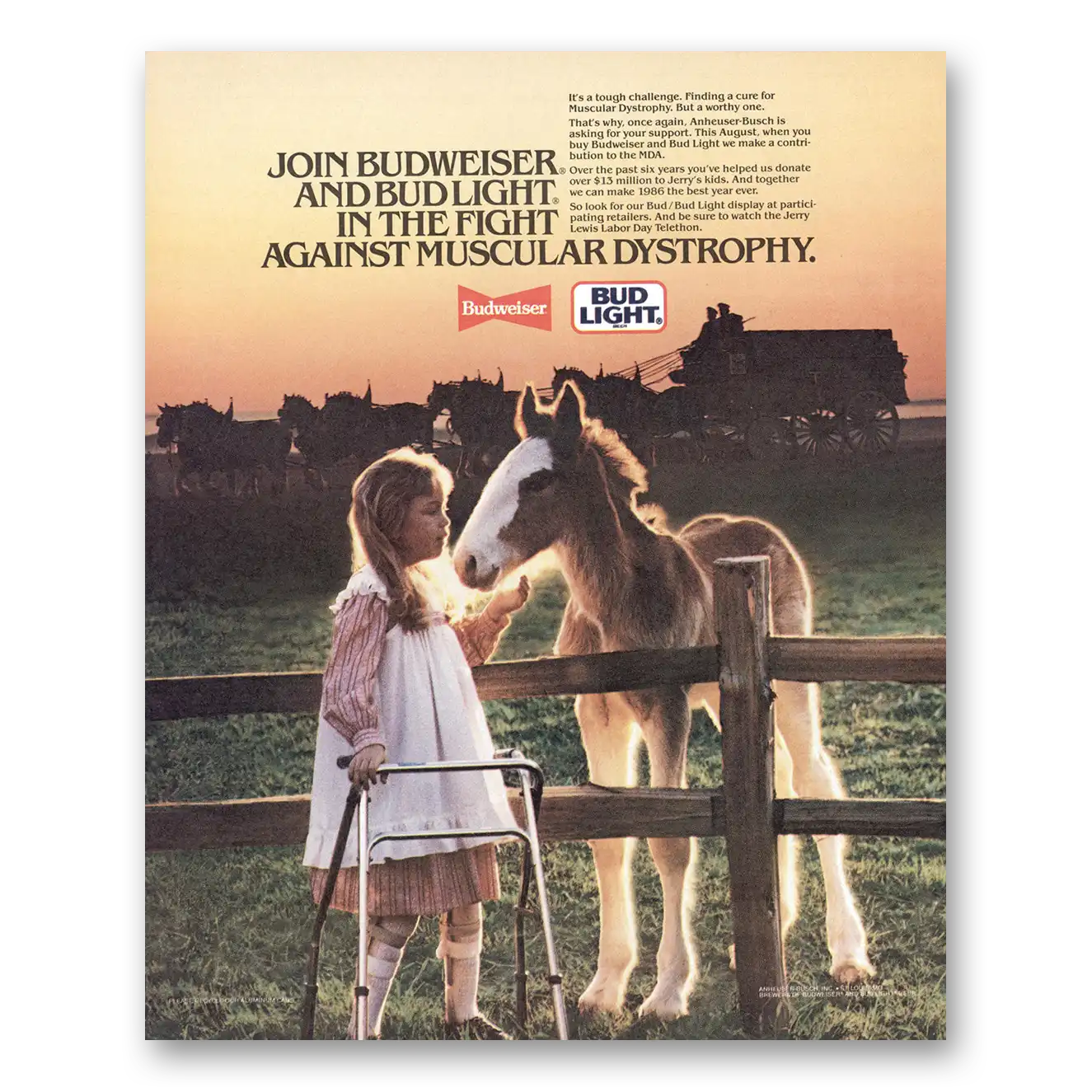 1986 Budweiser Beer Muscular Dystrophy Vintage Magazine Print Ad