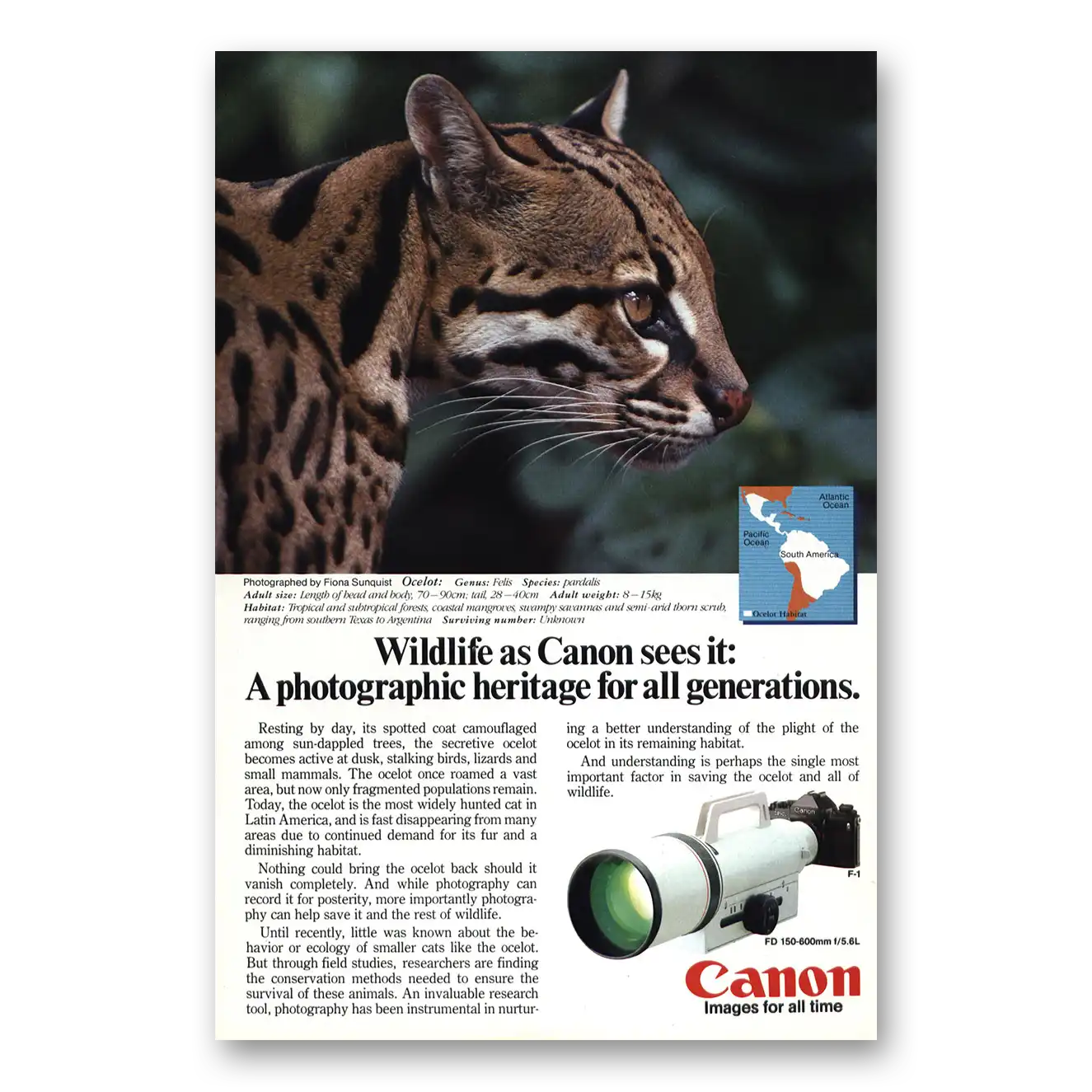 1986 Canon Camera Ocelot Vintage Magazine Print Ad