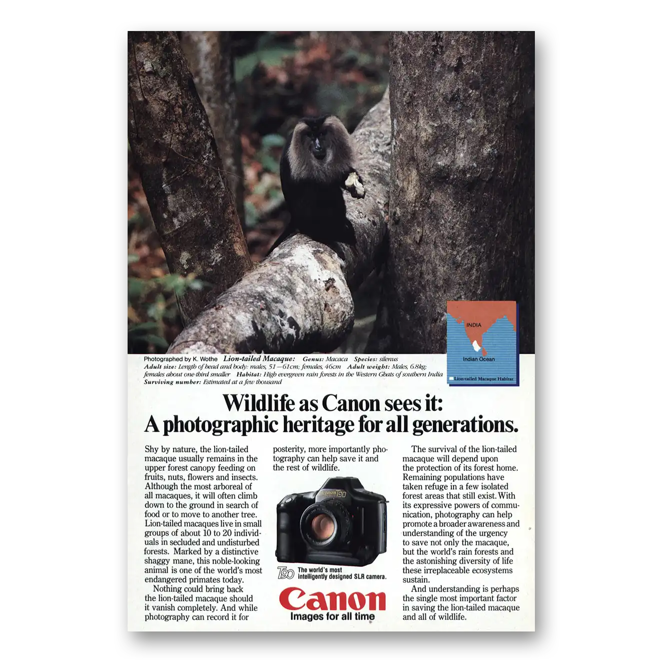 1986 Canon Camera Long Tailed Macaque Vintage Magazine Print Ad