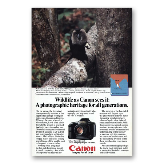 1986 Canon Camera Long Tailed Macaque Vintage Magazine Print Ad