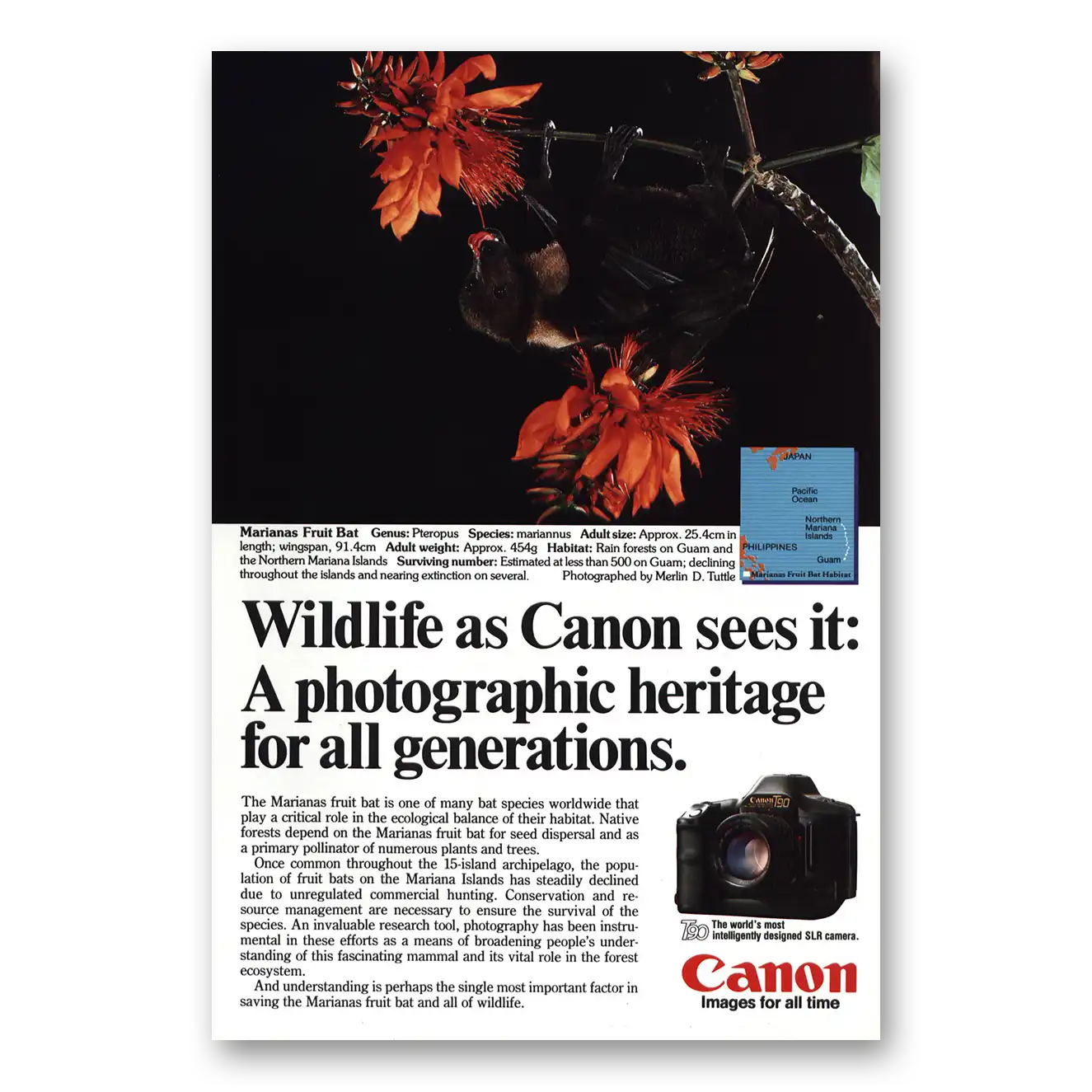 1986 Canon Camera Mariana Fruit Bat Vintage Magazine Print Ad