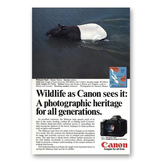 1986 Canon Camera Malayan Tapir Vintage Magazine Print Ad