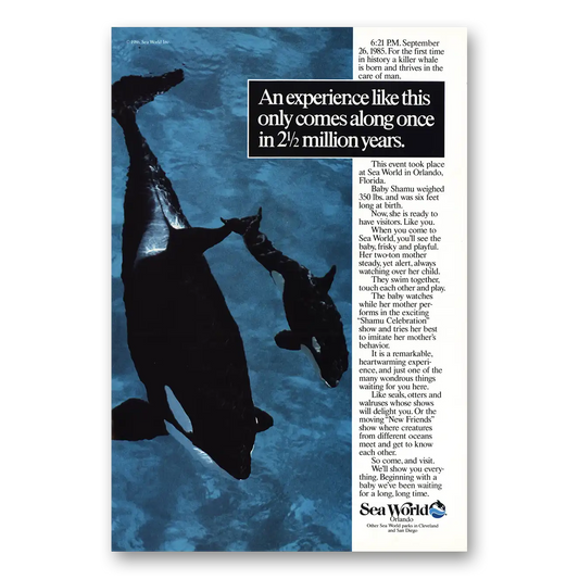 1986 Sea World Baby Shamu Vintage Magazine Print Ad