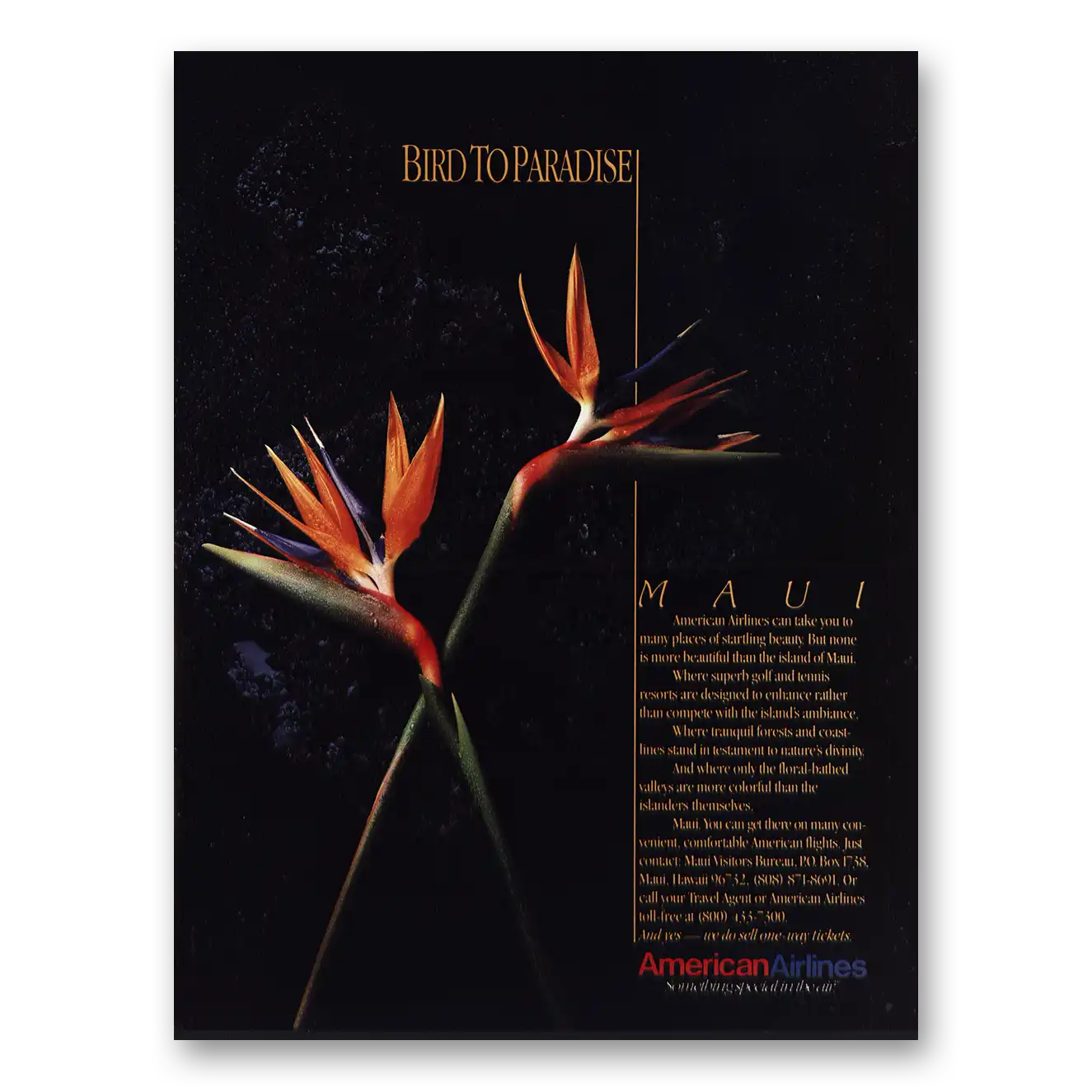 1987 American Airlines Bird to Paradise Maui Vintage Magazine Print Ad