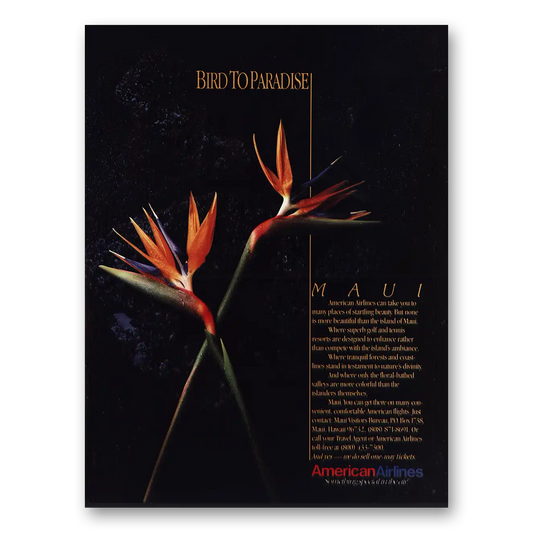 1987 American Airlines Bird to Paradise Maui Vintage Magazine Print Ad