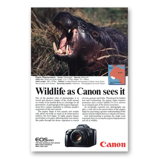 1987 Canon Camera Pygmy Hippopotamus Vintage Magazine Print Ad