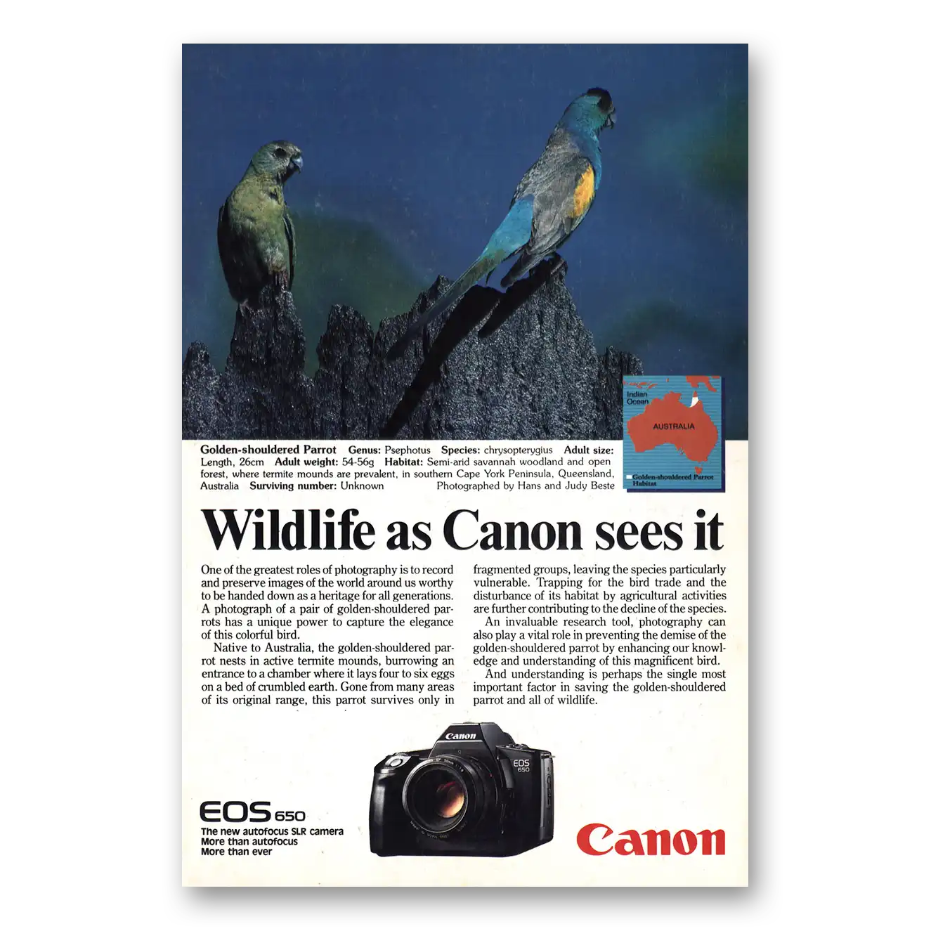 1987 Canon Camera Golden Shouldered Parrot Vintage Magazine Print Ad