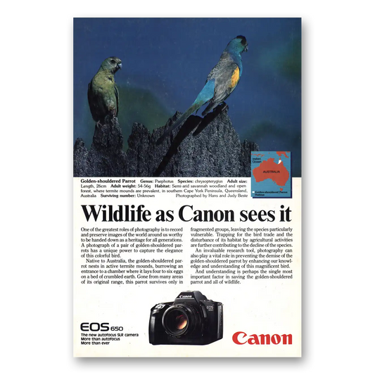 1987 Canon Camera Golden Shouldered Parrot Vintage Magazine Print Ad