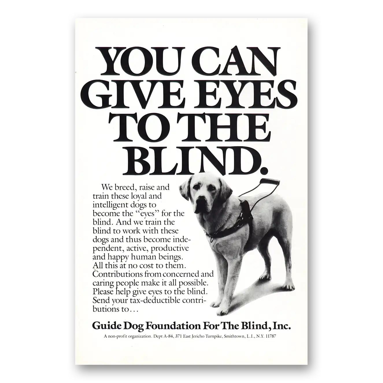 1987 Guide Dog Foundation Give Eyes to the Blind Vintage Magazine Print Ad