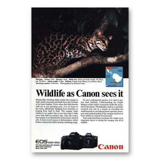 1989 Canon Camera Margay Vintage Magazine Print Ad