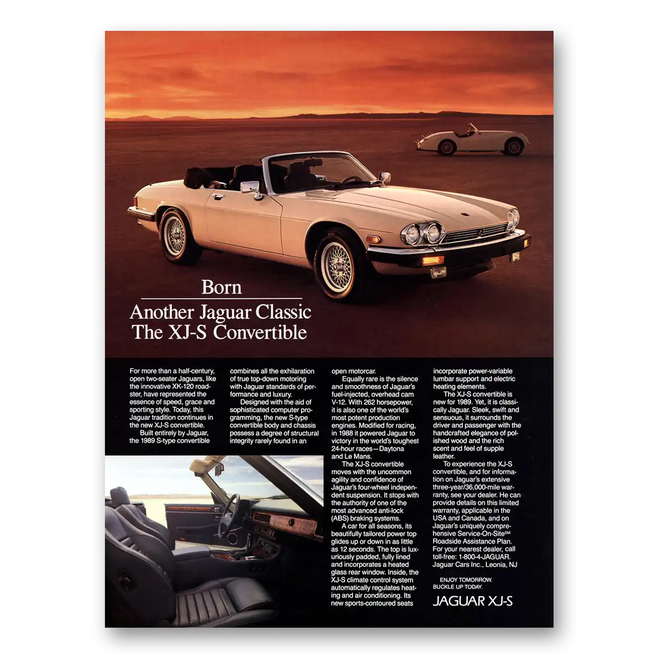 1989 Jaguar XJS Convertible Born Another Jaguar Classic Vintage Magazine Print Ad