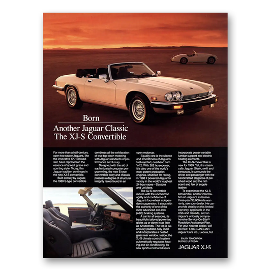 1989 Jaguar XJS Convertible Born Another Jaguar Classic Vintage Magazine Print Ad