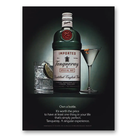 1989 Tanqueray Gin Own a Bottle Worth the Price Vintage Magazine Print Ad