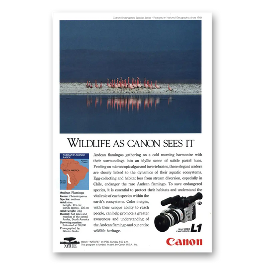 1991 Canon Camera Andean Flamingos Vintage Magazine Print Ad